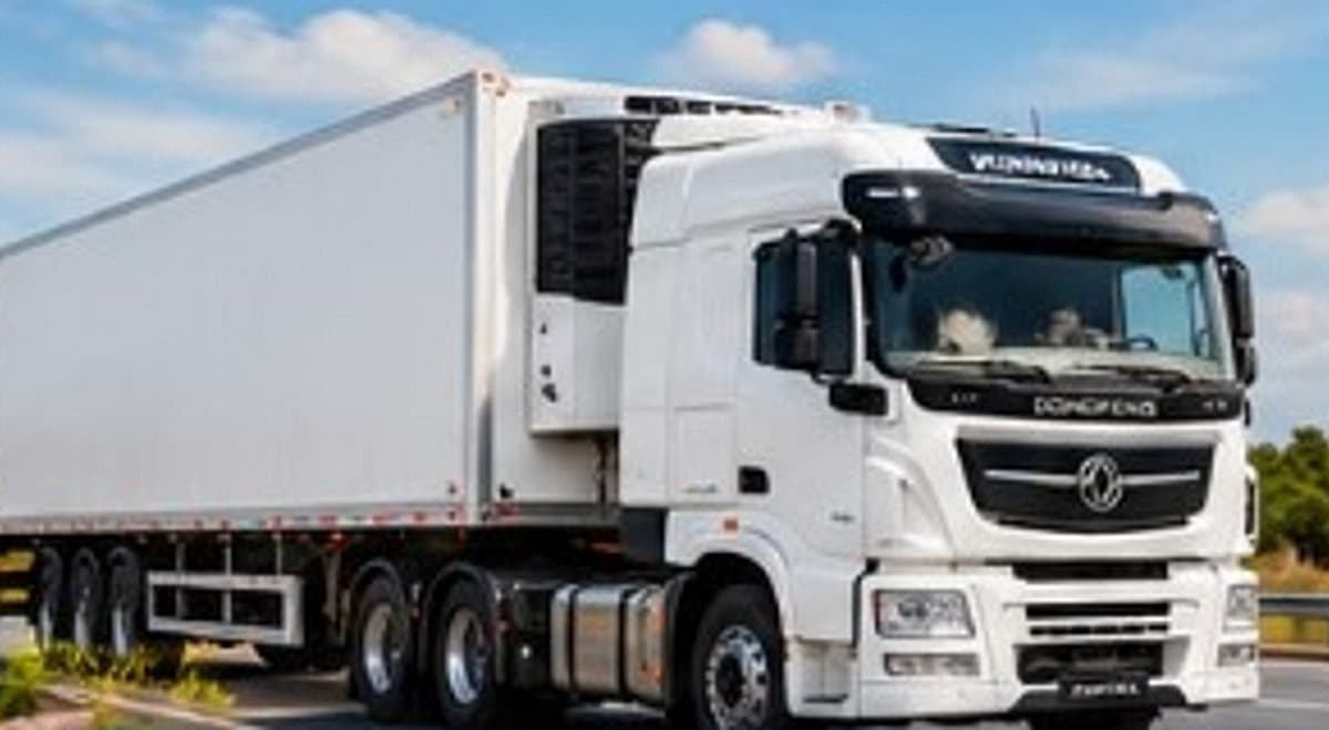 Camião frigorífico DongFeng para transporte de frescos e congelados — NS Express